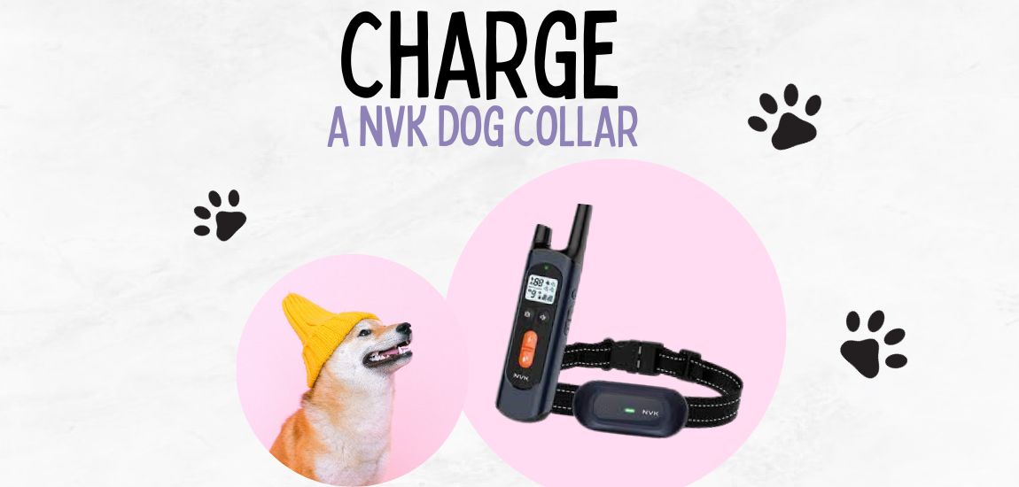 how to charge a nvk dog collar