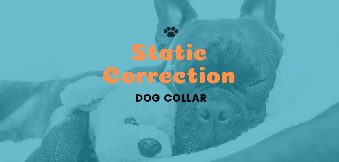 what is static correction on a dog collar