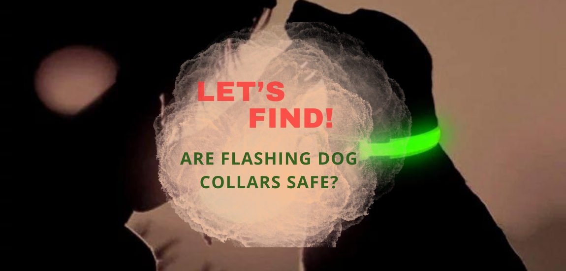 Are flashing dog collars safe