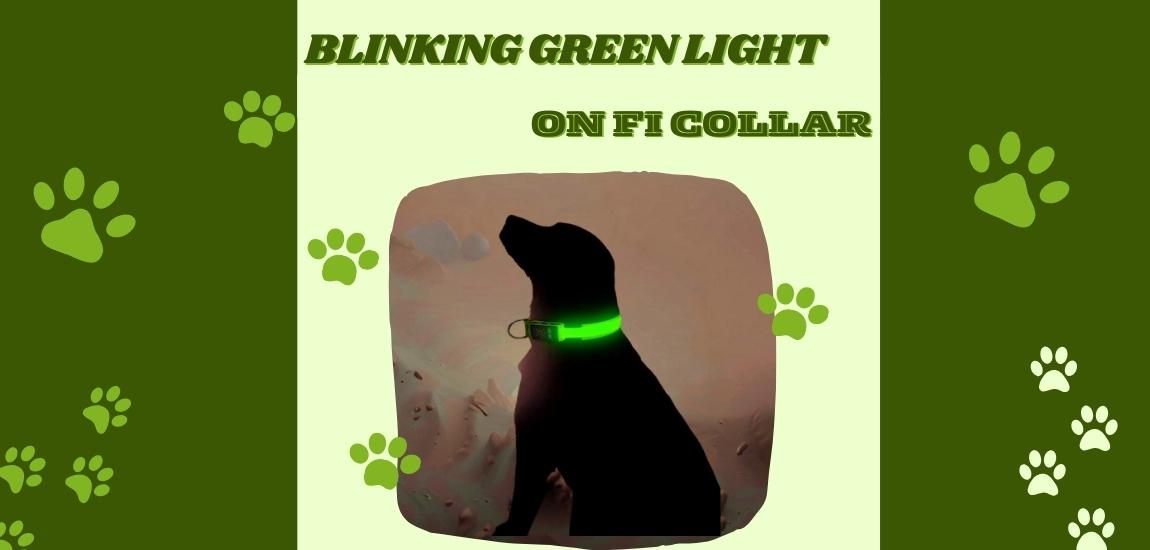 What does a blinking green light mean on fi collar