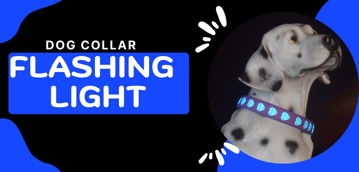what is flashing dog collar light