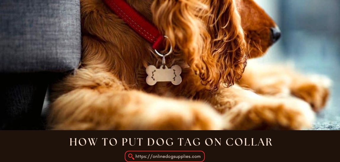 how to put dog tag on collar