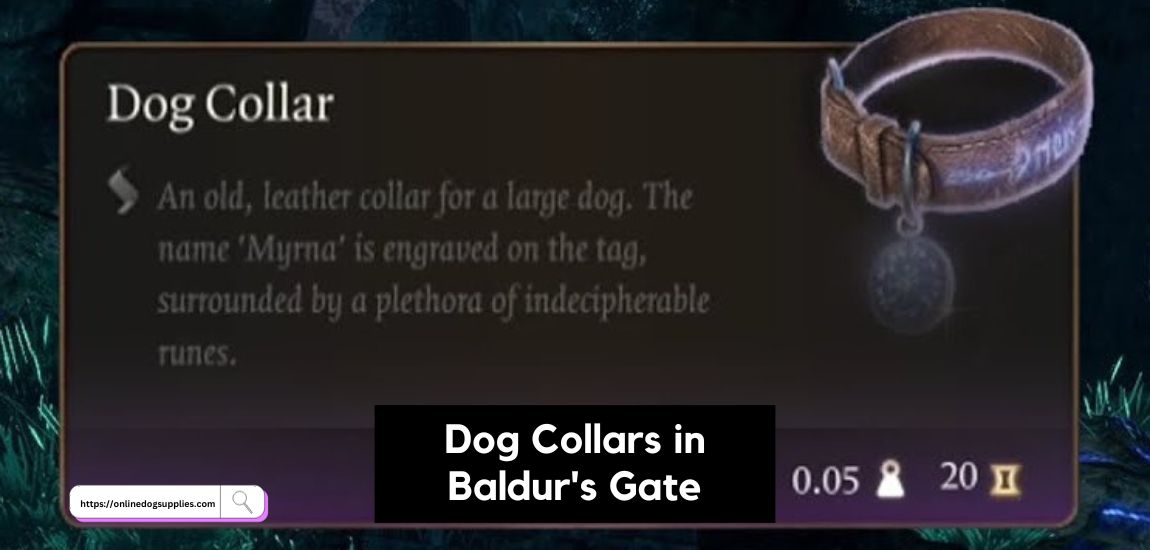 what to do with dog collar bg3