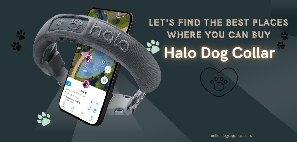 where to buy halo dog collar