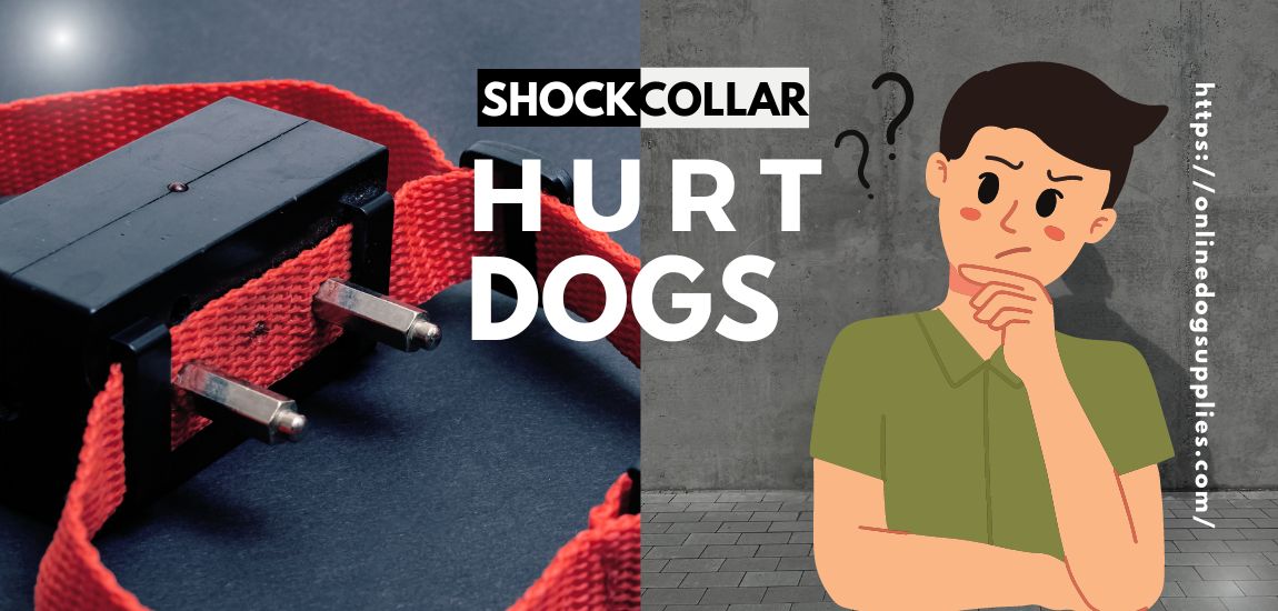 does a shock collar hurt a dog